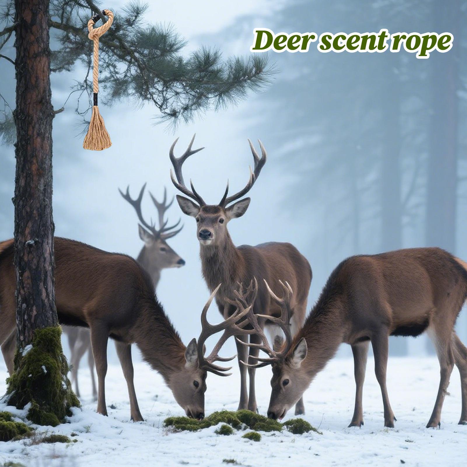 Deer Attractant Scent - Corde parfumée de cerf, attractif efficace