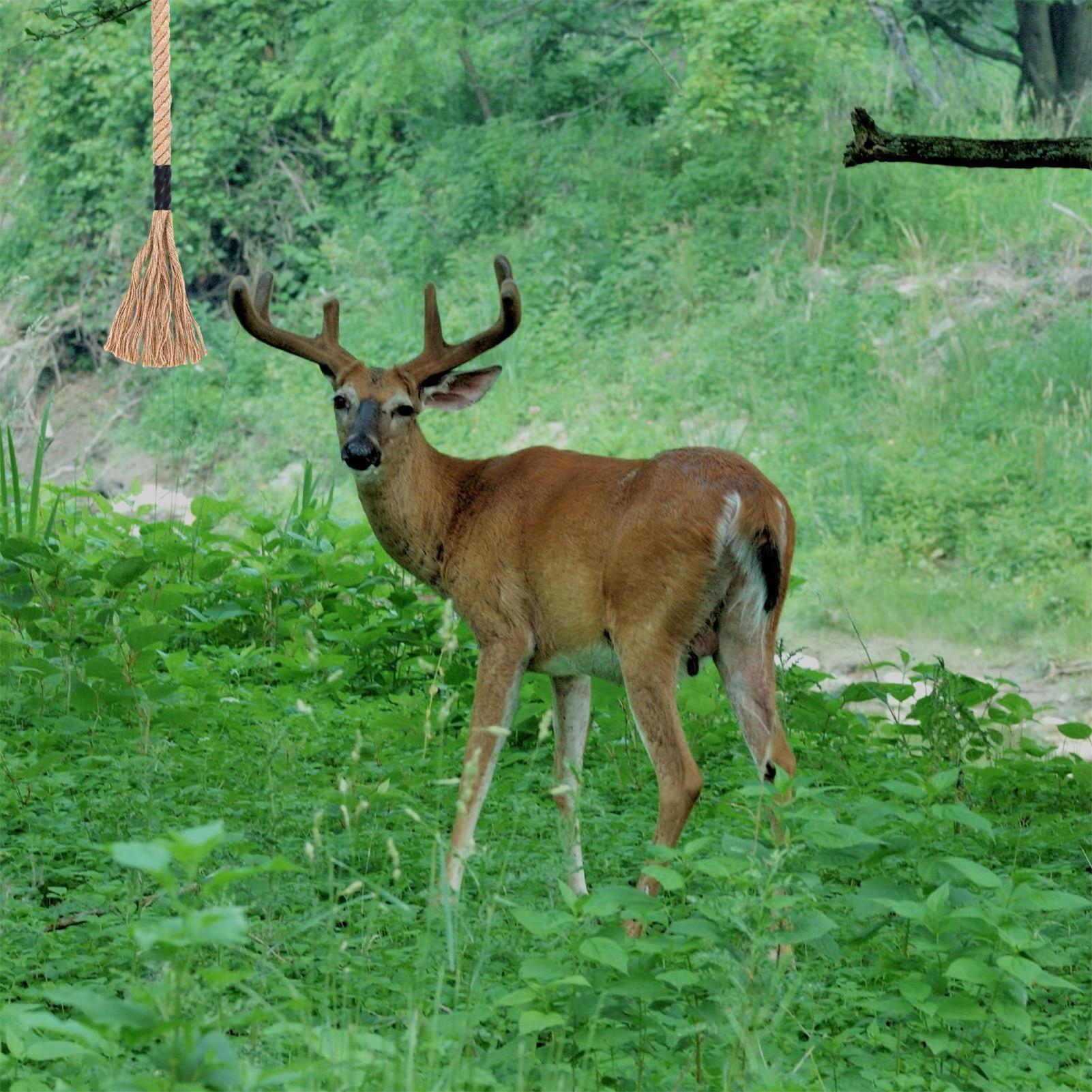 Corde parfumée de cerf, attrac - Deer Attractant Scent avis et prix