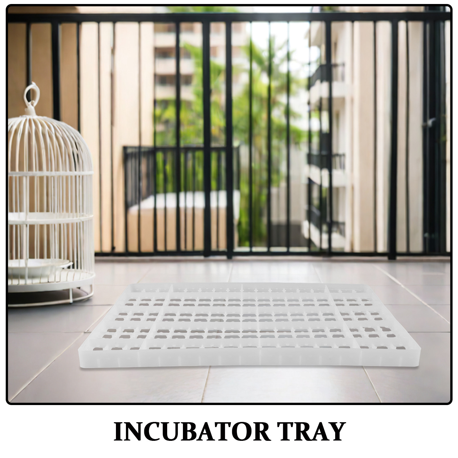 2 plateaux d'incubation pour œ - Hunting Quail avis et prix