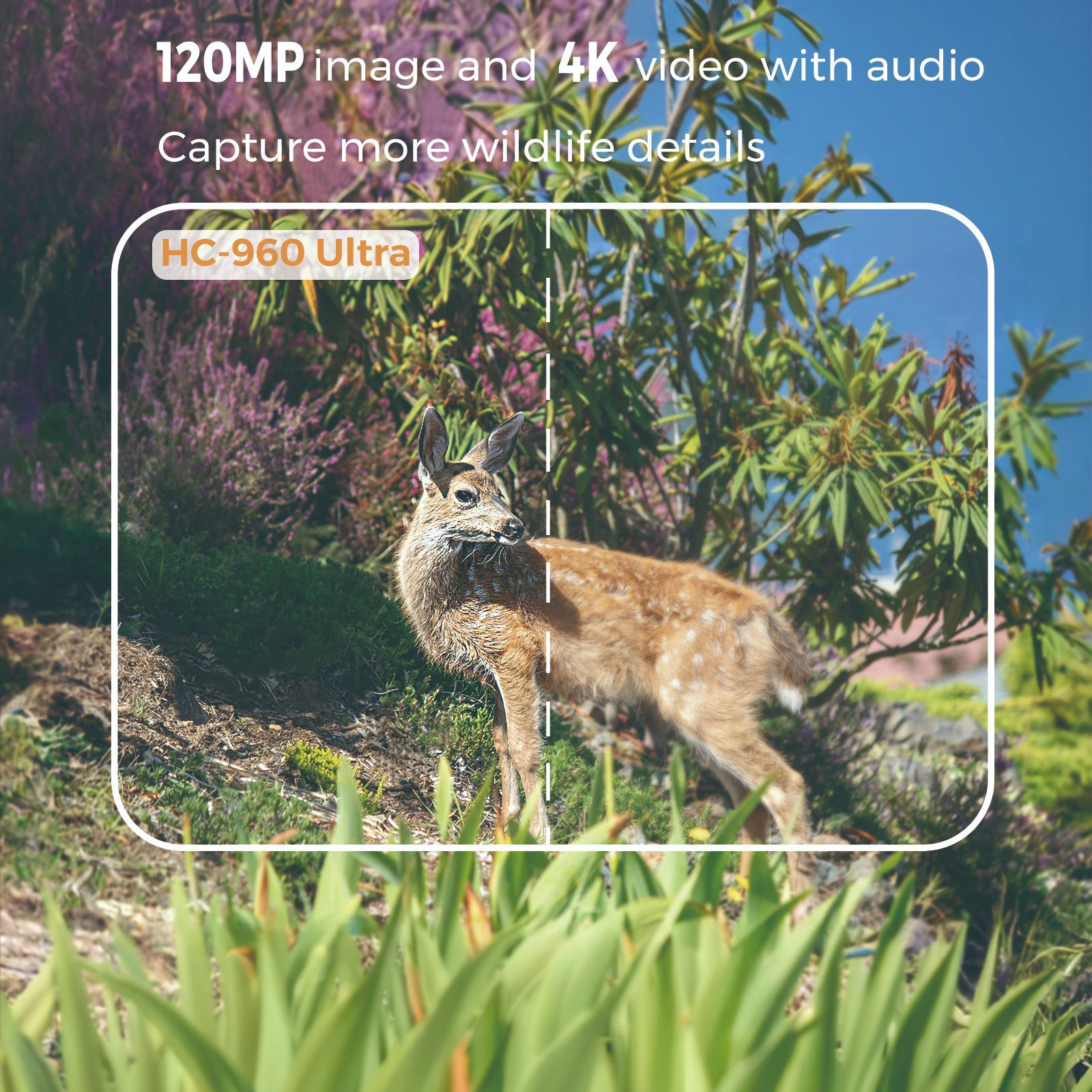 Caméra infrarouge 4G pour la f - Hunting Outdoor Camera avis et prix